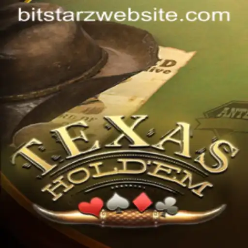 Mastering Texas Hold'em: A Beginner's Guide with Bitstarz